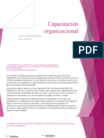 Capacitación Organizacional PDF