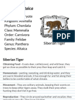 Ellie Schonemann - Animal Index Card