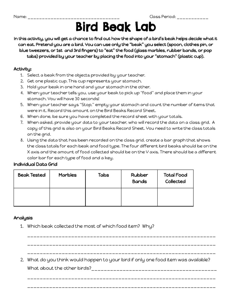 Bird Beak Lab PDF Beak