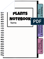 Plants Templates