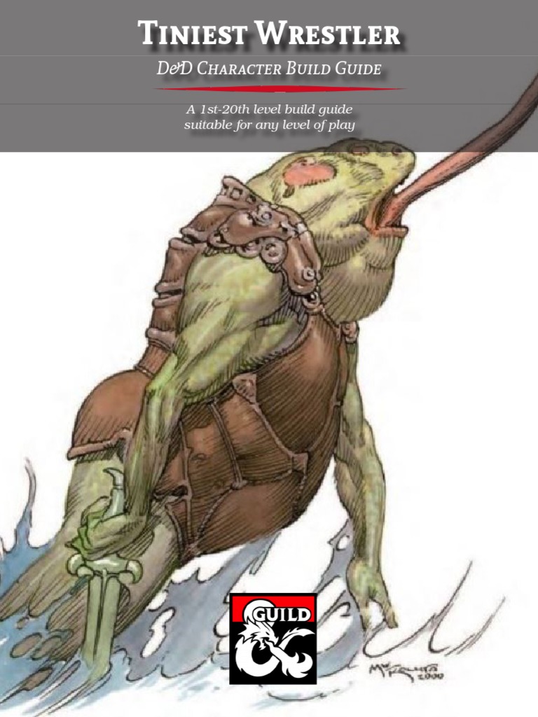 D&D Character Build Guide: A 1st-20th Level Build Guide Suitable For ...