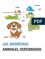 Los Mamíferos