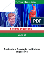 Aula de Fisiologia Do Sistema Digestório