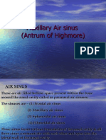 Maxillary Air Sinus (Antrum of Highmore)
