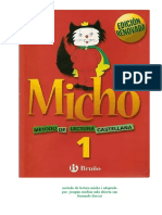 MICHO Actualizada - Actividades