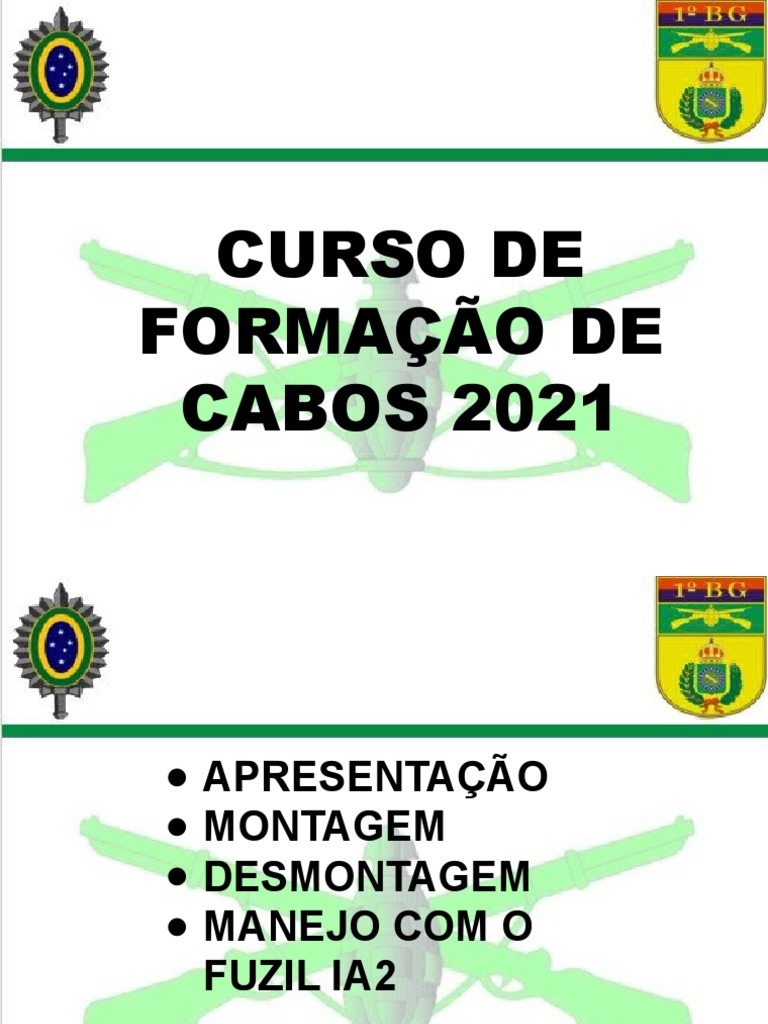 Manual de Montagem e Desmontagem IA2 | PDF | Armas de fogo | Ferramentas