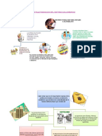 Mapa Conceptual La Restructuracion Del Estado Colombiano