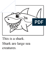 This Is A Shark. Shark Are Large Sea Creatures