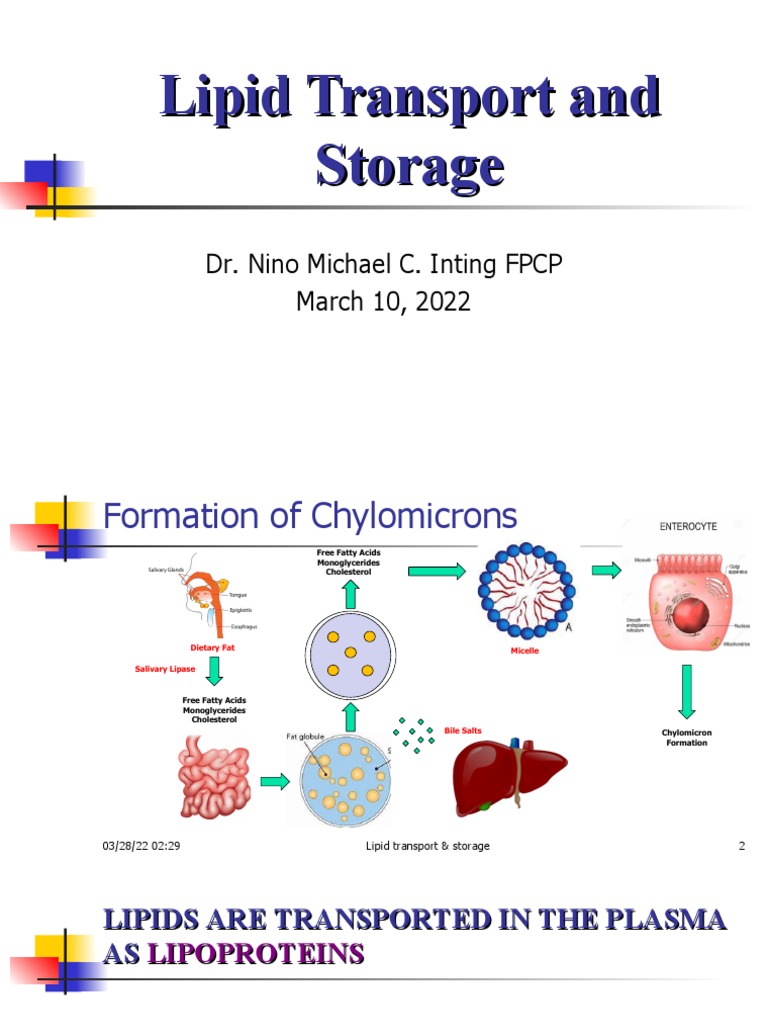 Lipid Transport and Storage | PDF | Lipoprotein | High Density Lipoprotein