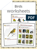 Birds Worksheets