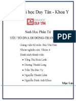 BIO252BB.nhóm 4. Yếu Tố DNA Di Động-Transposon