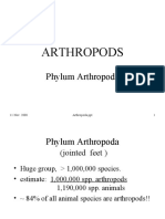 Arthropods: Phylum Arthropoda