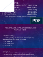 Dosen Pembimbing: Adrestia Rifki Naharani, S.Sit, MPH