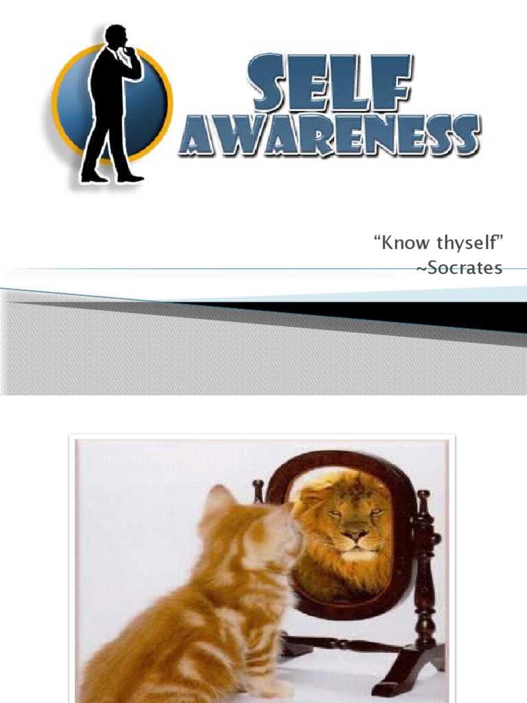 Understanding Self-Awareness Basics | PDF | Self Awareness | Awareness