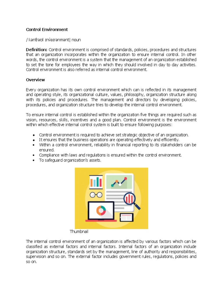 Control Environment PDF Internal Control Business