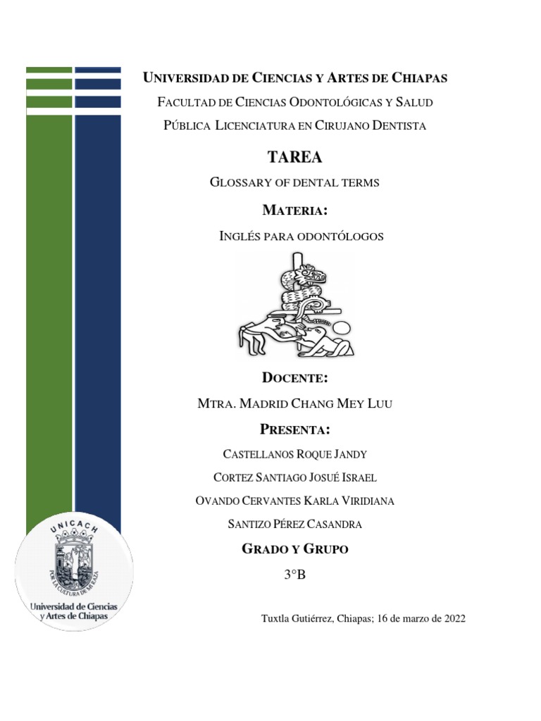 Glossary of Dental Terms2 PDF Bronchitis Kidney