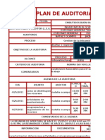 Plan de Auditoria Nat