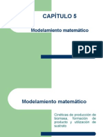 Capitulo 5. Modelamiento Matematico