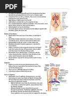 Download CIS Human Anatomy Exam Four Study Guide by Victoria SN56691456 doc pdf