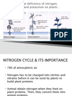 Effects of The Deficiency of Nitrogen, Phosphorus and Potassium On Plants