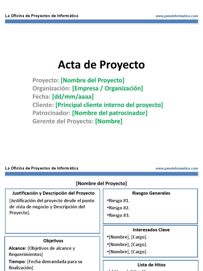 PMOInformatica Plantilla Acta de Proyecto (2 Laminas) | PDF