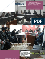 Actividad Procesal Civil