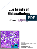 The Beauty of Histopathology: 3 Year