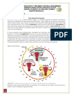 7°CICLO REPRODUCTIVO