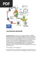 Download biologi by Fadli Lah SN56696126 doc pdf