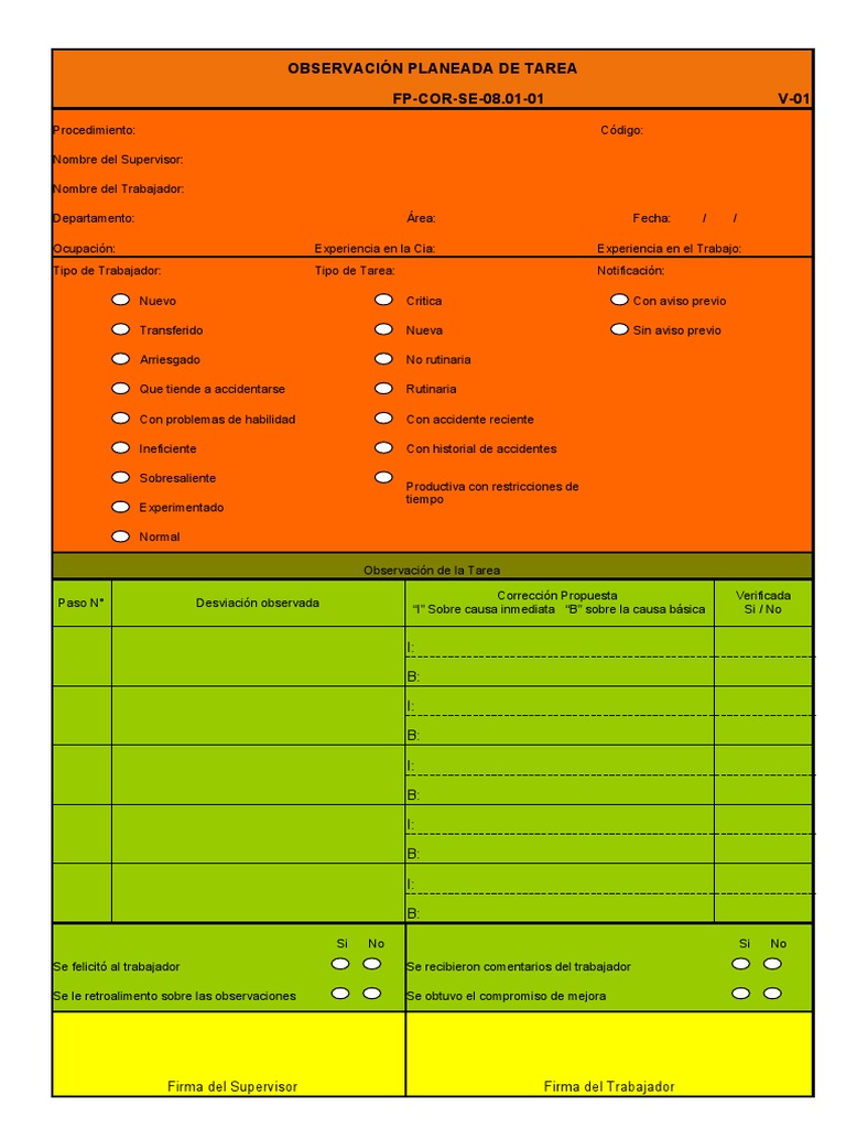 FP-COR-SE-08.01-01 Formato de OPT | PDF