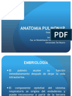 Anatomía pulmonar: Desarrollo, estructura y función