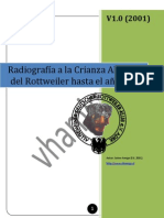 Radiografia a la crianza alemana del Rottweiler hasta el año 2000 - Spanish