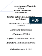 García Castillo Angel A. Perfil Del Auditor, Responsabilidad Profesional