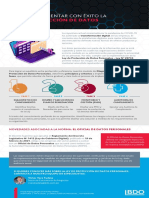 BDO-Peru-LPDP-Metodologia de Consultoria