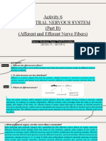 Activity 6 The Central Nervous System (Part B) (Afferent and Efferent Nerve Fibers)