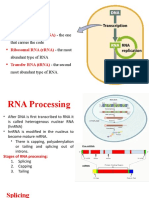 The One That Carries The Code - The Most Abundant Type of RNA - The Second Most Abundant Type of RNA