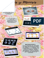 Mitosis y Meiosis Infografia