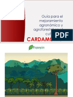 Guia Agronómica de Cardamomo 2021