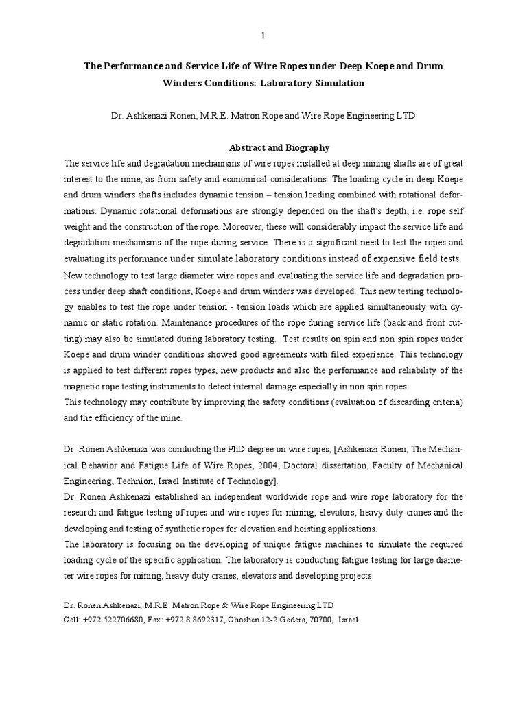 The Performance and Service Life of Wire Ropes Under Deep Koepe and ...