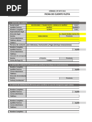 Ficha de Cliente Flota - Cornelio & Muñoz | PDF | Seguro