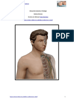 Sistema Nervoso Cefad Manual Anatomia