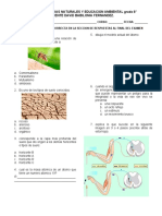 exam de ciencias grado 8° 1P