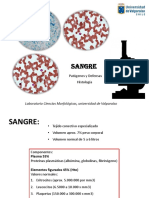 Histología de La Sangre (27-04)