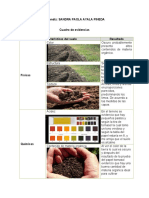 Cuadro Evidencias de Estructura Del Suelo