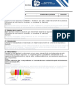 Formato Reporte de Practicas