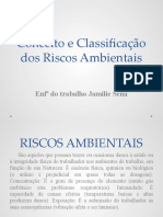 Conceito e Classificação Dos Riscos Ambientais