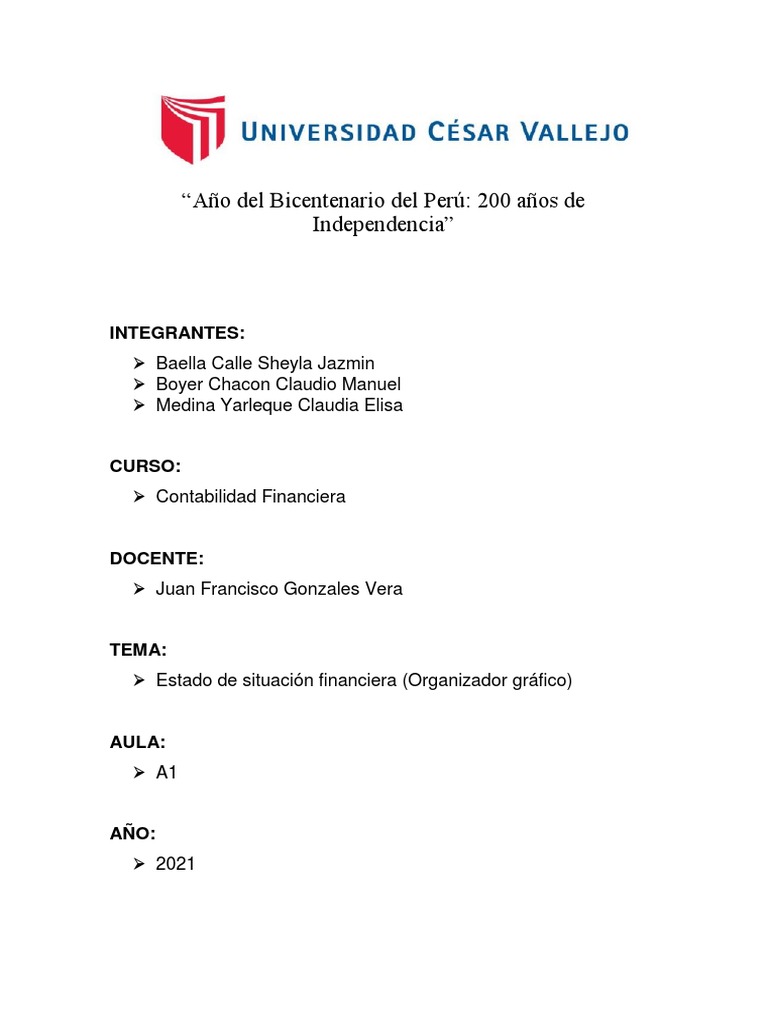 Estado de Situacion Financiera | PDF | Contabilidad | Business