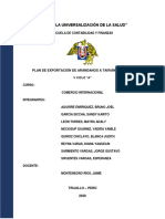 Plan de Exportaci N Ar Ndanos Avance PDF