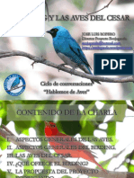 El Birding y Las Aves Del Cesar