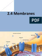 Membranes 2.4
